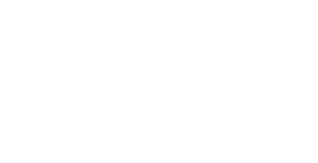 Loganair and Airlink 100